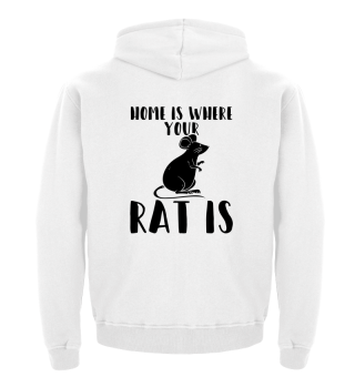 Ratte Home | Nagetiere Haustier Ratten
