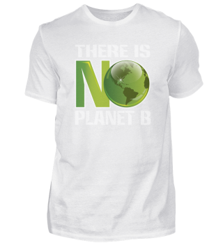 Нет никакой планеты Б, нет второй планет