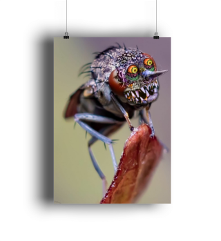 Freaky Bug - Mosquito